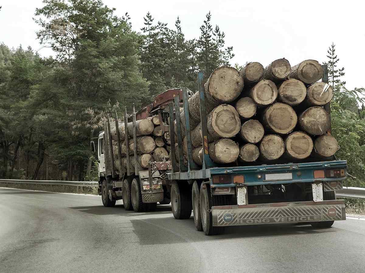 https://freightonthego.co/wp-content/uploads/2017/08/inner_big_trucks_01.jpg