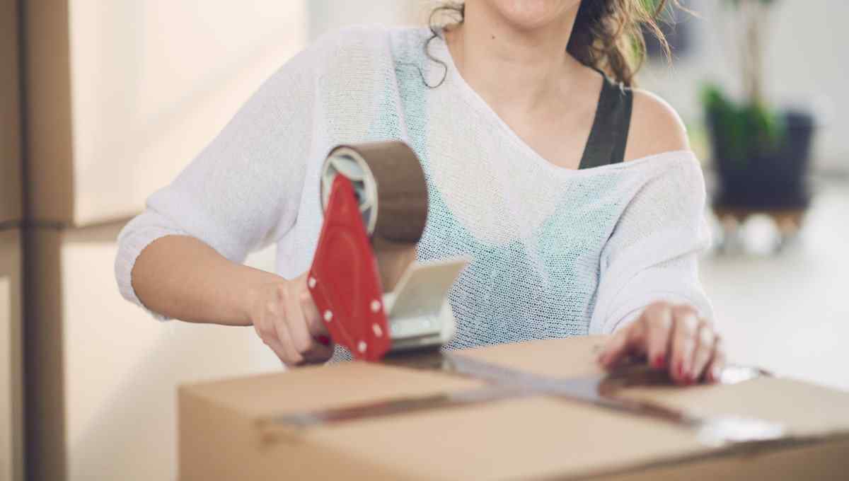 https://freightonthego.co/wp-content/uploads/2017/08/service_rental_03.jpg